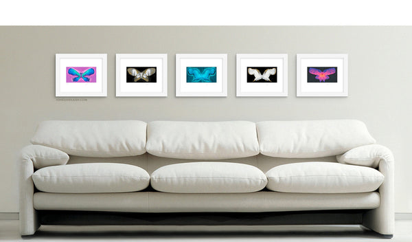 Set of Five 10 x 8 inch Prints, The Butterfly Effects Series