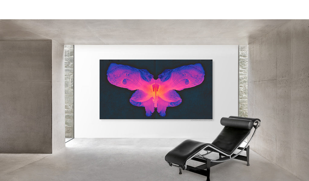 Aurora No. 9 Special Edition