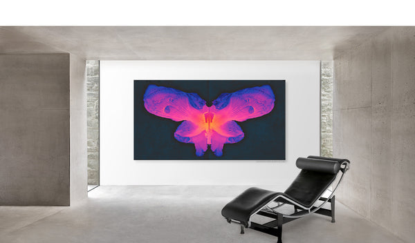 Aurora No. 9 Special Edition